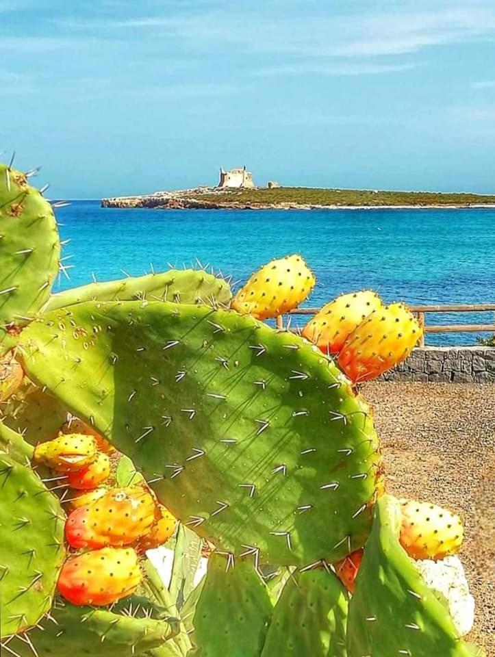 Portopalo Di Capo PasseroCasa Guttuso 1别墅 外观 照片